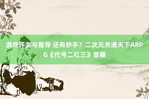 游戏评测与推荐 还有妙手？二次元灵通天下ARPG《代号二杠三》首曝